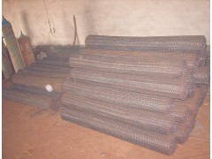 供應蛋托輸送網帶,經濟耐用。安平達隆供應產品安平縣達隆金屬絲網制品廠